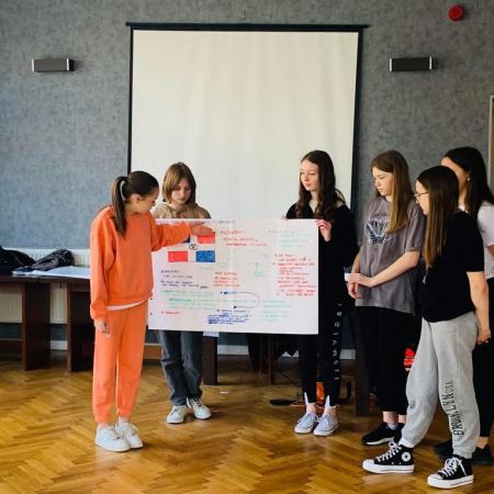 Wyświetl org. rozmiar