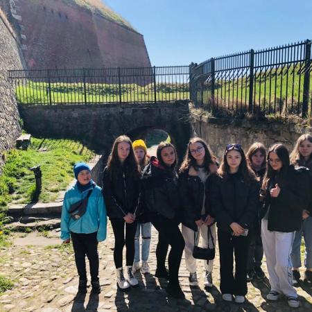 Wyświetl org. rozmiar