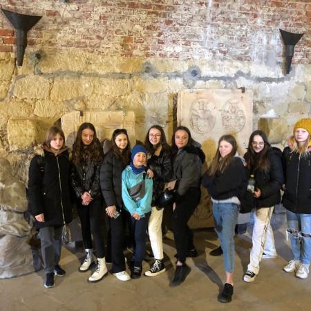 Wyświetl org. rozmiar