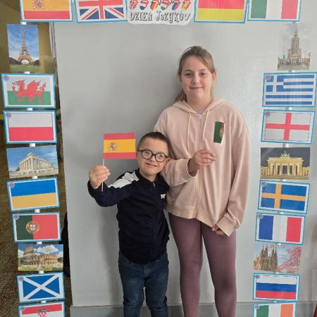 Wyświetl org. rozmiar