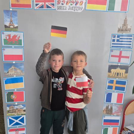 Wyświetl org. rozmiar