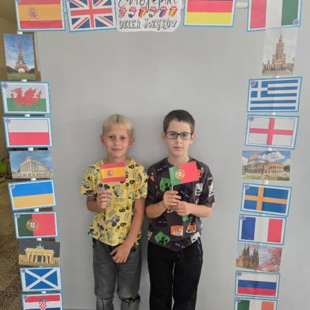 Wyświetl org. rozmiar