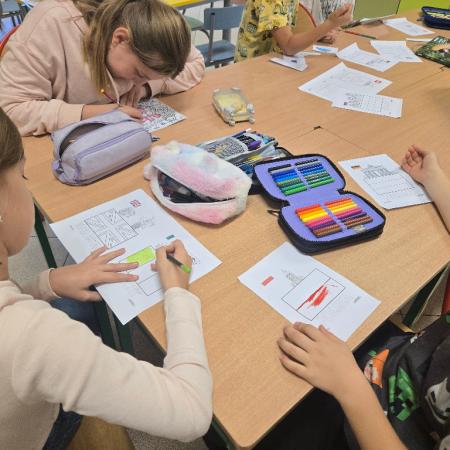 Wyświetl org. rozmiar