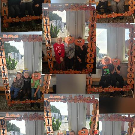 Wyświetl org. rozmiar