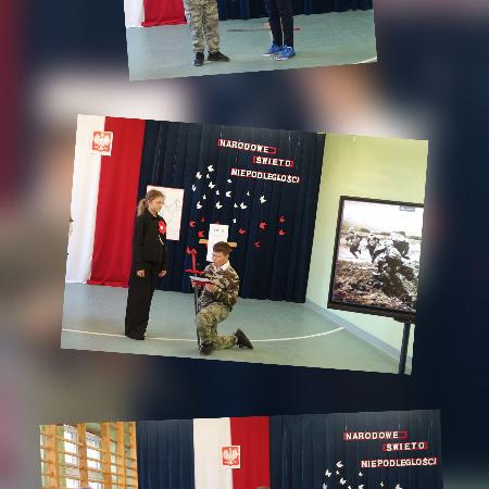 Wyświetl org. rozmiar