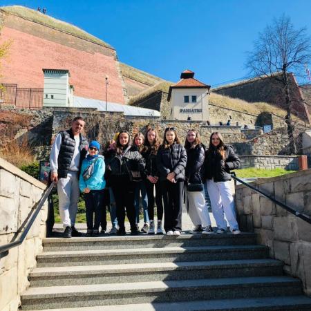 Wyświetl org. rozmiar