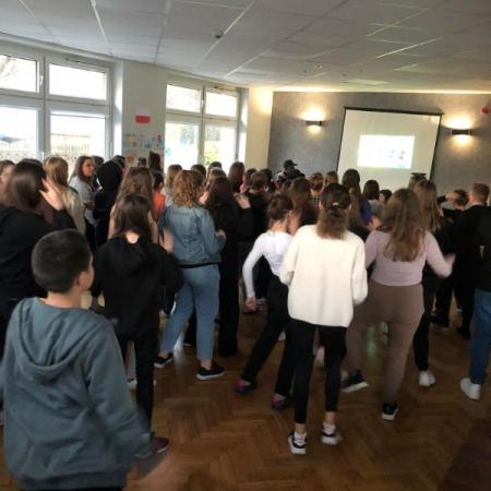 Wyświetl org. rozmiar