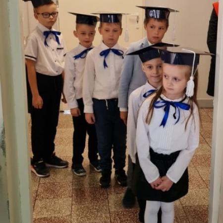 Wyświetl org. rozmiar