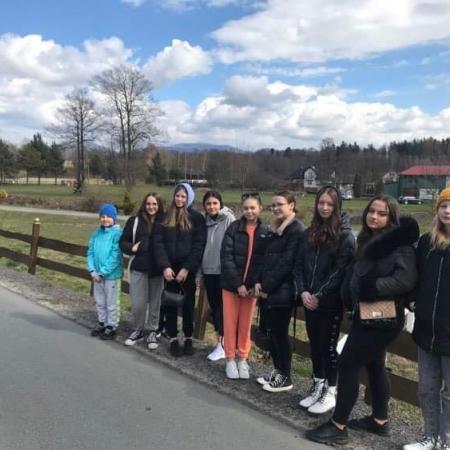 Wyświetl org. rozmiar