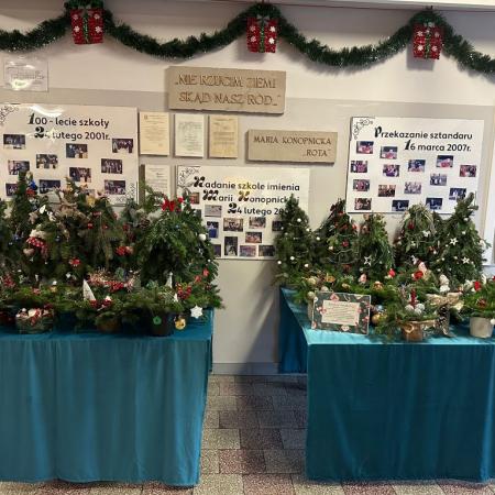 Wyświetl org. rozmiar