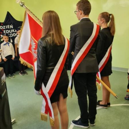 Wyświetl org. rozmiar