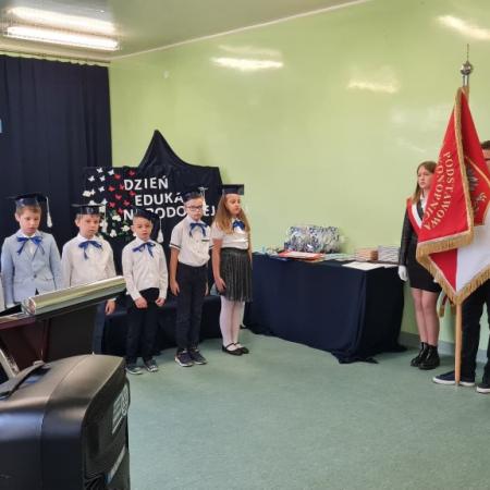 Wyświetl org. rozmiar