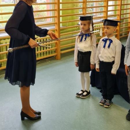 Wyświetl org. rozmiar