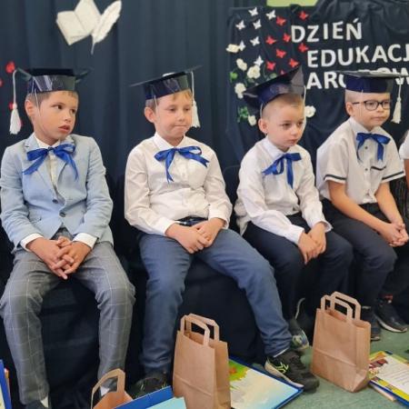 Wyświetl org. rozmiar