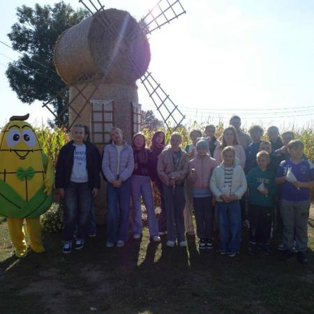 Wyświetl org. rozmiar