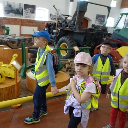 Wyświetl org. rozmiar