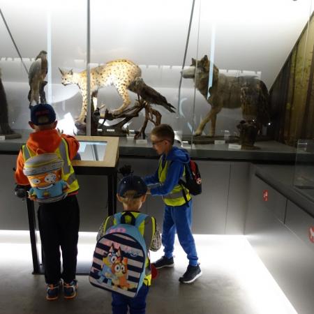 Wyświetl org. rozmiar