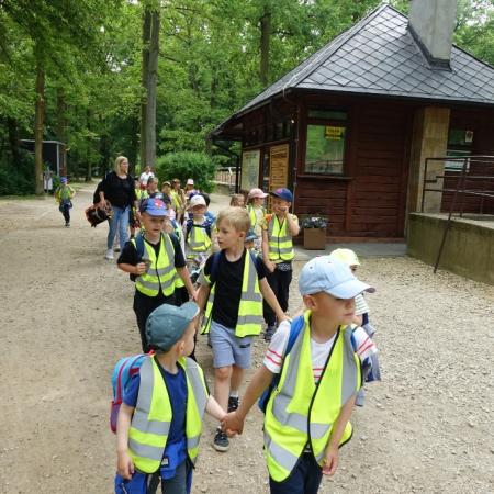 Wyświetl org. rozmiar