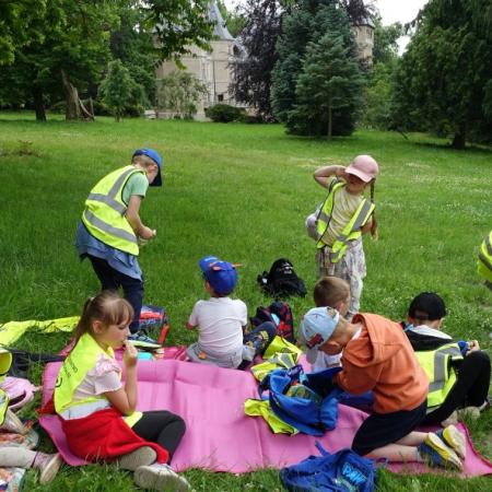 Wyświetl org. rozmiar