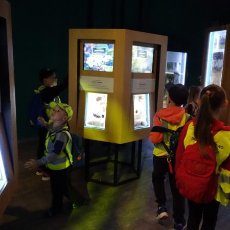 Wyświetl org. rozmiar