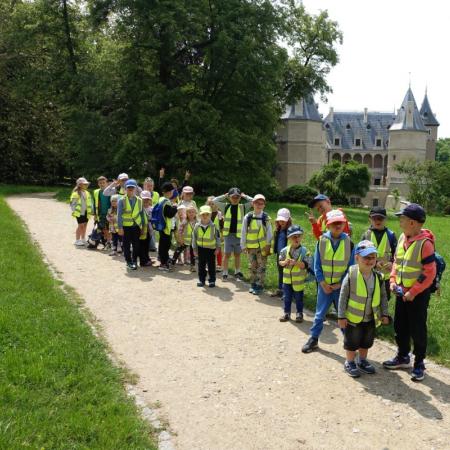 Wyświetl org. rozmiar