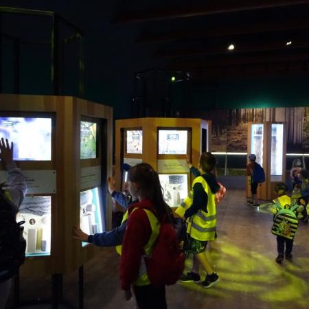 Wyświetl org. rozmiar