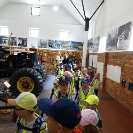 Wyświetl org. rozmiar