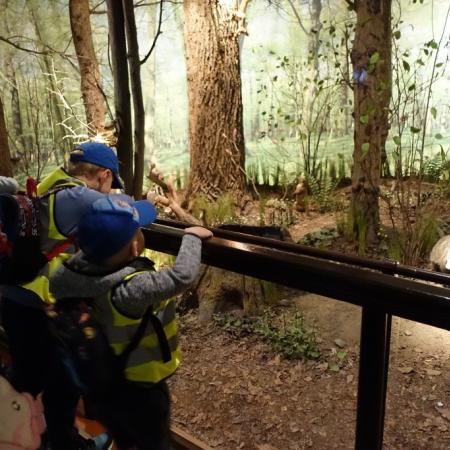 Wyświetl org. rozmiar