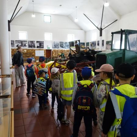 Wyświetl org. rozmiar