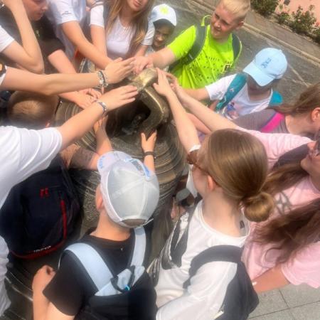 Wyświetl org. rozmiar