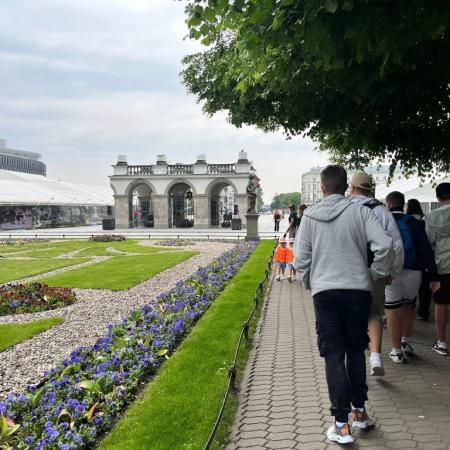 Wyświetl org. rozmiar