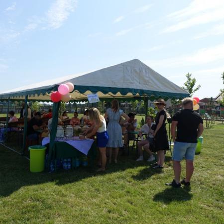 Wyświetl org. rozmiar