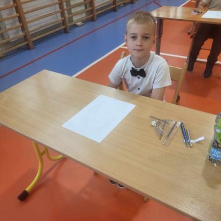 Wyświetl org. rozmiar