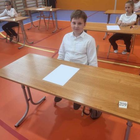 Wyświetl org. rozmiar