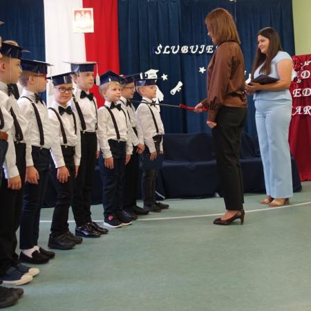 Wyświetl org. rozmiar