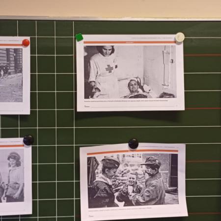 Wyświetl org. rozmiar