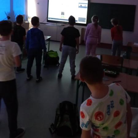 Wyświetl org. rozmiar