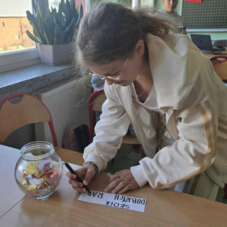 Wyświetl org. rozmiar