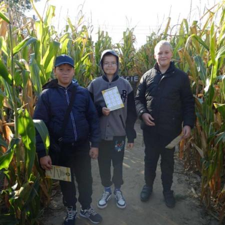 Wyświetl org. rozmiar