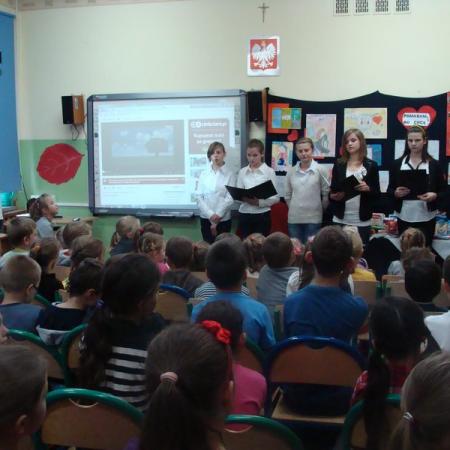 Wyświetl org. rozmiar