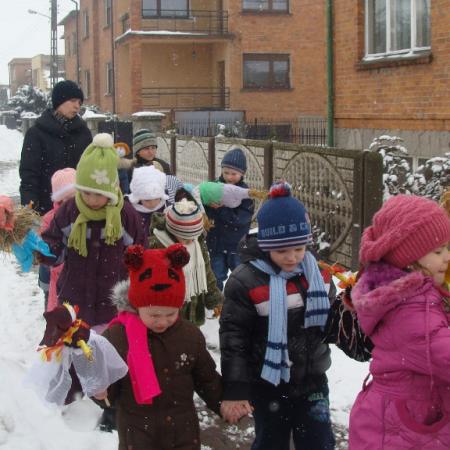 Wyświetl org. rozmiar