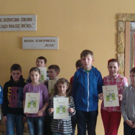 Wyświetl org. rozmiar