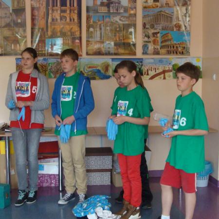 Wyświetl org. rozmiar