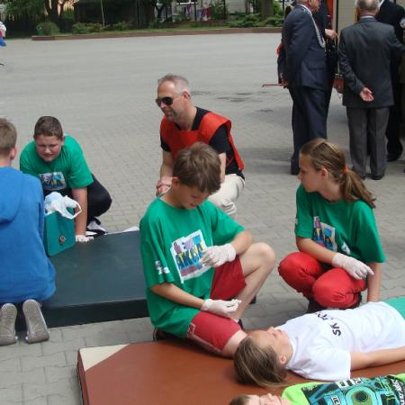 Wyświetl org. rozmiar