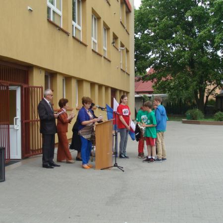 Wyświetl org. rozmiar