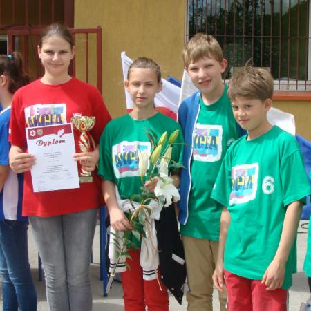 Wyświetl org. rozmiar