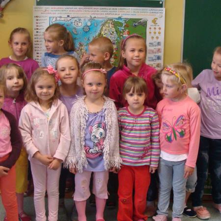 Wyświetl org. rozmiar