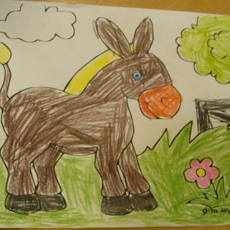 Wyświetl org. rozmiar