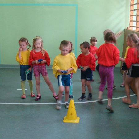 Wyświetl org. rozmiar