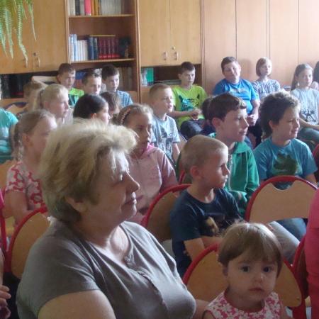 Wyświetl org. rozmiar